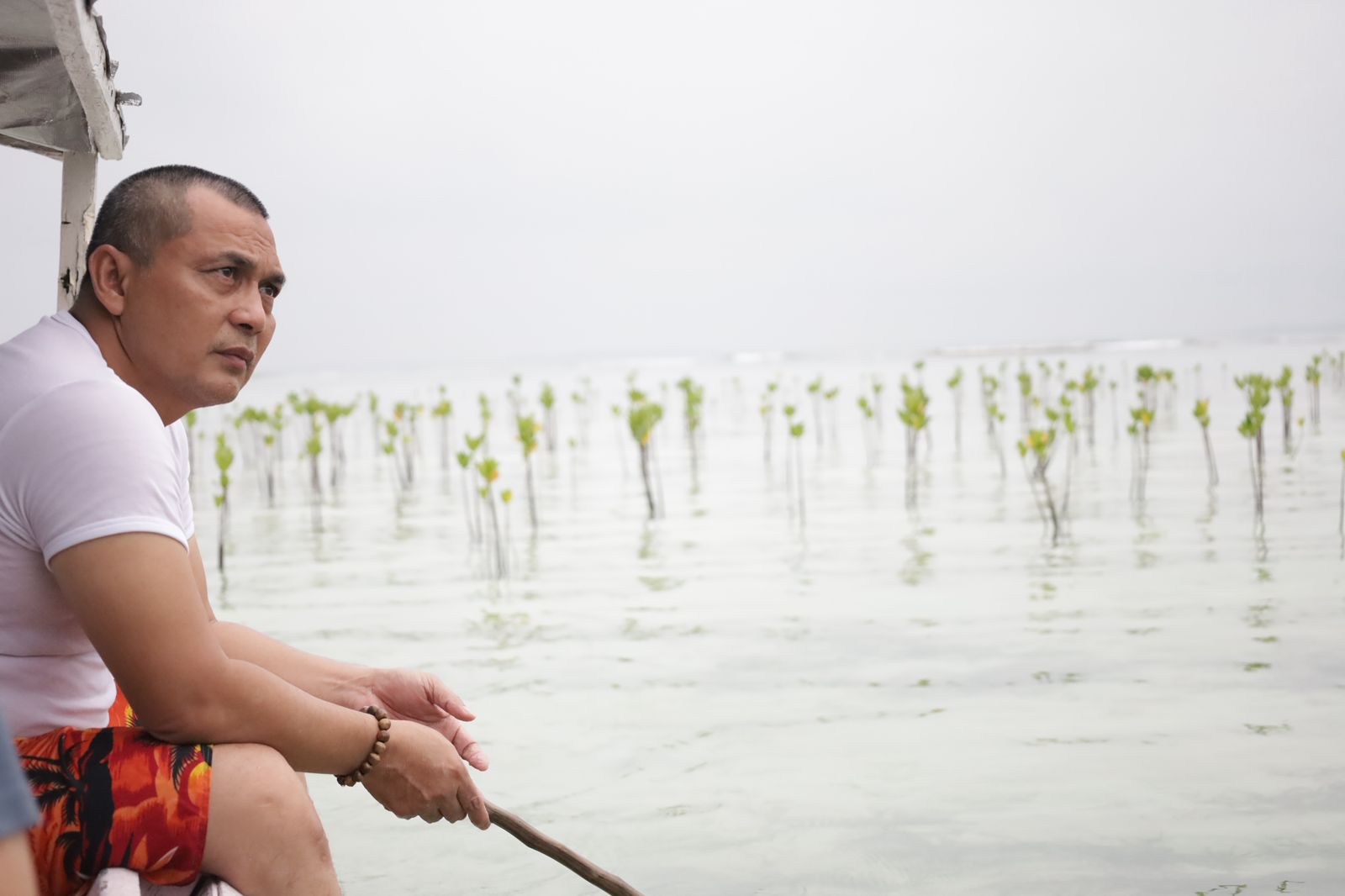Bang Azran: Semua Pihak Harus Fair, Jangan Dompleng Isu Mangrove Pulau Pari